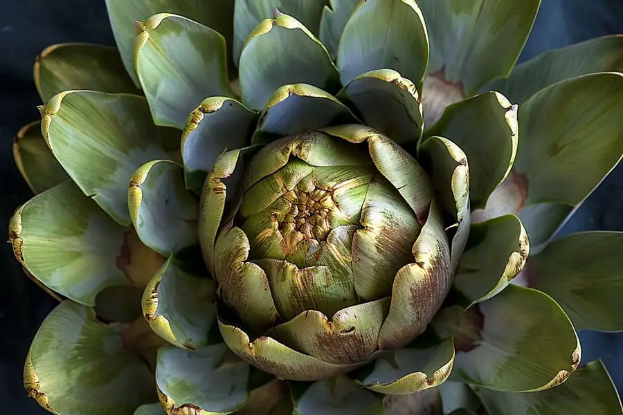 How Healthy Are Artichoke Hearts