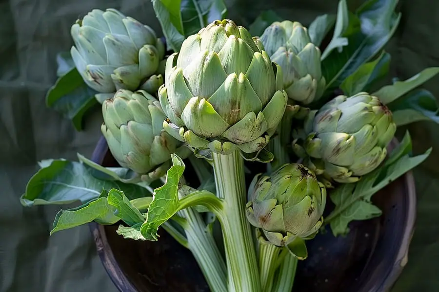 Eat the Stem of the Artichoke